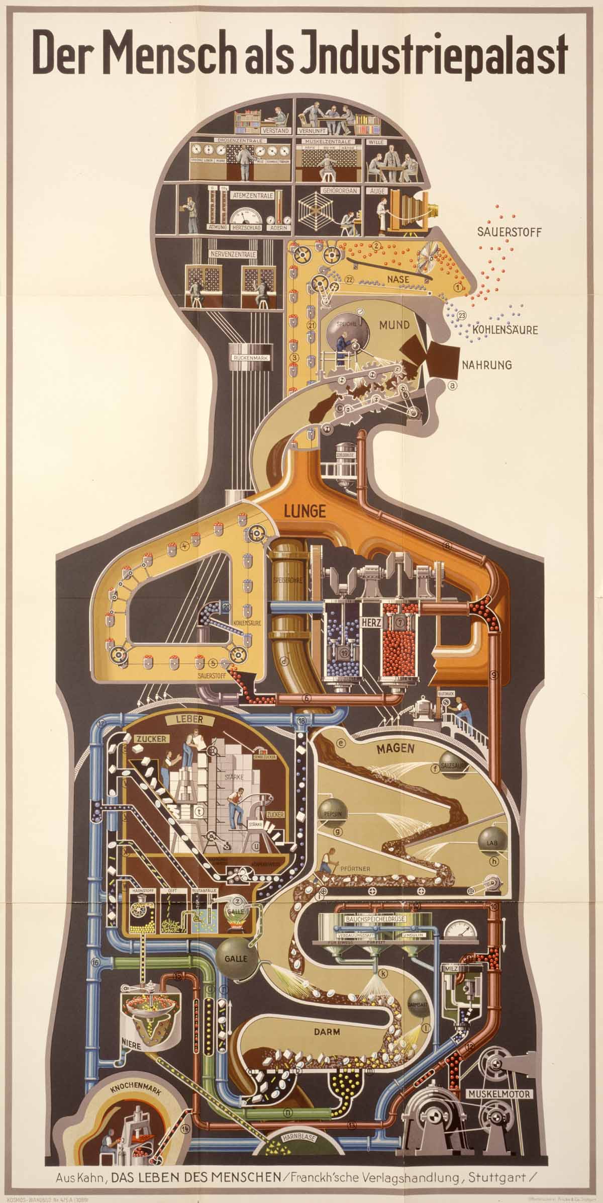 (1927) פריץ קאהן: האדם כמפעל תעשייתי