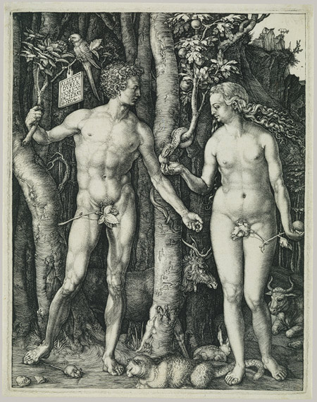 אלברכט דירר: אדם וחוה (1504)